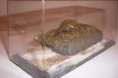 /album/fotogaleria-homepage/tank05-2-jpg/